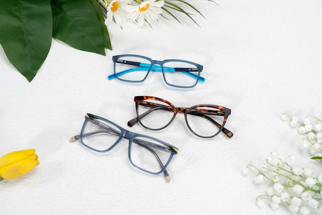 Modelo 1 Valtro03nesia